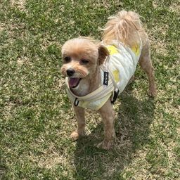 사용자 프로필 1