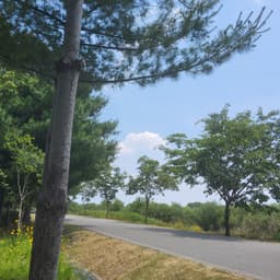 kimeungi의 프로필 이미지