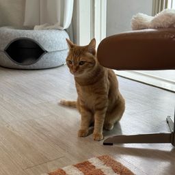 사용자 프로필 1