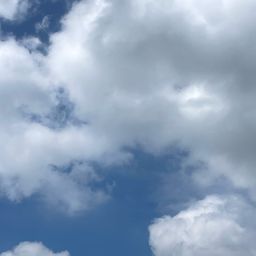 사용자 프로필 1