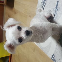 김셔먼의 프로필 이미지