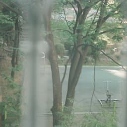 이한나의 프로필 이미지