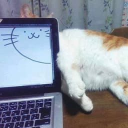 이진웅의 프로필 이미지
