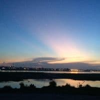 윤송이의 프로필 이미지