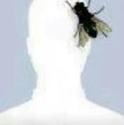 박상헌의 프로필 이미지