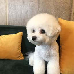 강창우의 프로필 이미지