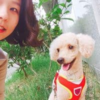 박정이의 프로필 이미지
