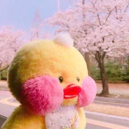 사용자 프로필 1