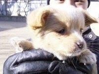 사용자 프로필 1