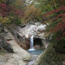 이동욱의 프로필 이미지