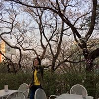 안예진의 프로필 이미지