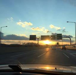 사용자 프로필 1