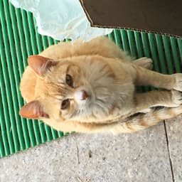홍길림의 프로필 이미지