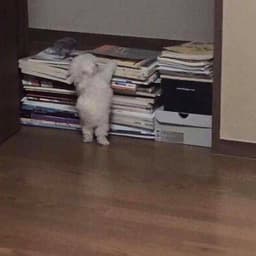 허승우의 프로필 이미지