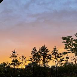 사용자 프로필 1