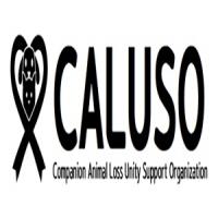 Profil utilisateur 1