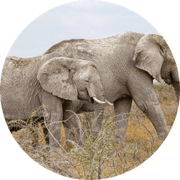 최안나의 프로필 이미지