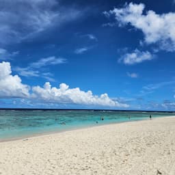 토마스의 프로필 이미지