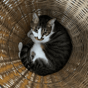 โปรไฟล์ผู้ใช้ 1