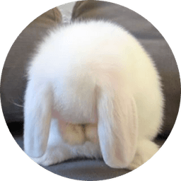 Jueun Lee의 프로필 이미지