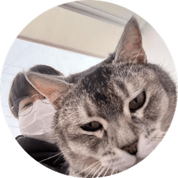 박효종의 프로필 이미지