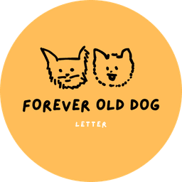 최희정의 프로필 이미지