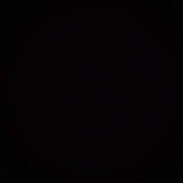 김은지의 프로필 이미지