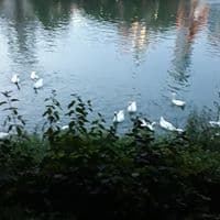 김정호의 프로필 이미지