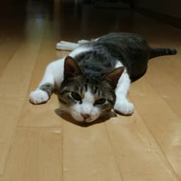 홍진호의 프로필 이미지