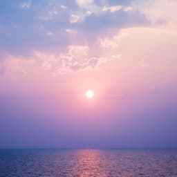 김승아의 프로필 이미지