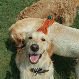 김소연의 프로필 이미지