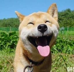 심영준의 프로필 이미지