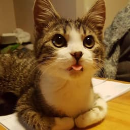 김홍의 프로필 이미지