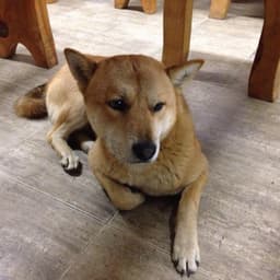 이진선의 프로필 이미지