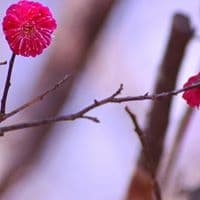 NicoleCheon의 프로필 이미지