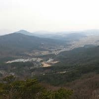 한동희의 프로필 이미지