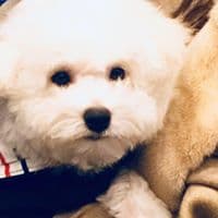 고승한의 프로필 이미지