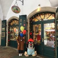 안지수의 프로필 이미지