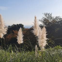 윤지훈의 프로필 이미지