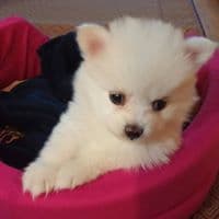 방우진의 프로필 이미지