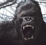 김인동의 프로필 이미지