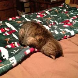 이예한의 프로필 이미지