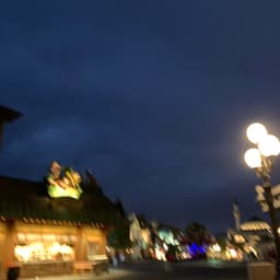 안가영의 프로필 이미지