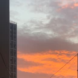 정수경의 프로필 이미지