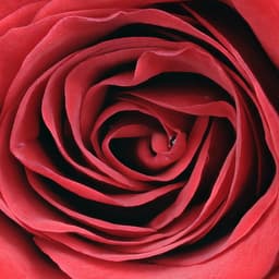 이학준의 프로필 이미지