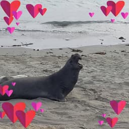 종만박의 프로필 이미지