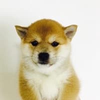 김정의 프로필 이미지