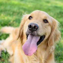 성영호의 프로필 이미지