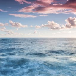 김미헌의 프로필 이미지