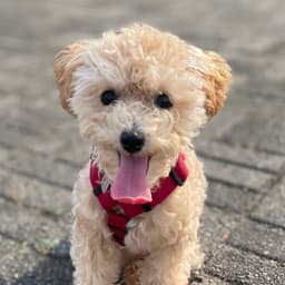 방성환의 프로필 이미지